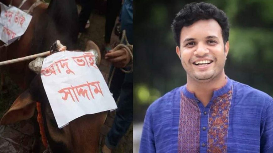 আদু ভাই সাদ্দাম, আনা হলো ঢাবির হলে, জানা গেলো হাস্যকর কাহিনী