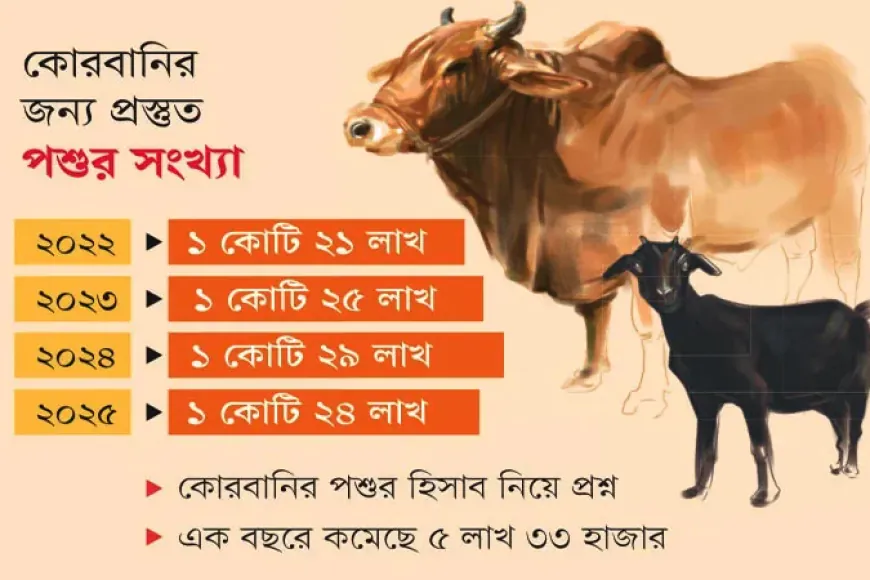 ১ বছরে এত গরু-ছাগল গেল কোথায়