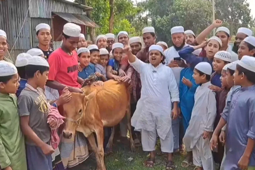 আ.লীগ নিষিদ্ধ হওয়ায় গরু জবাই করে খাওয়াচ্ছেন শিশুবক্তা মাদানী
