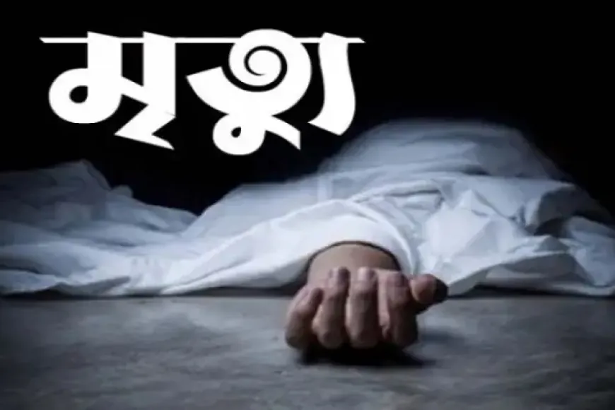 বিচারপতি মানিক মারা গেছেন