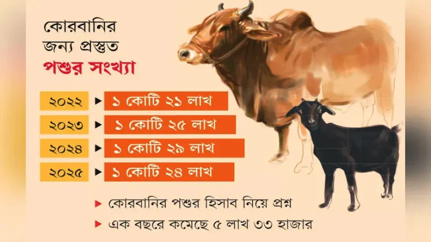 ১ বছরে এত গরু-ছাগল গেল কোথায়