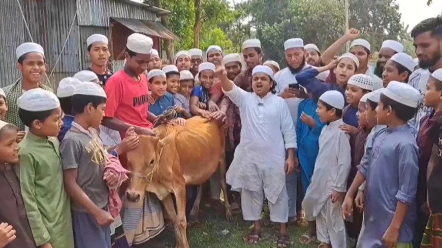 আ.লীগ নিষিদ্ধ হওয়ায় গরু জবাই করে খাওয়াচ্ছেন শিশুবক্তা মাদানী