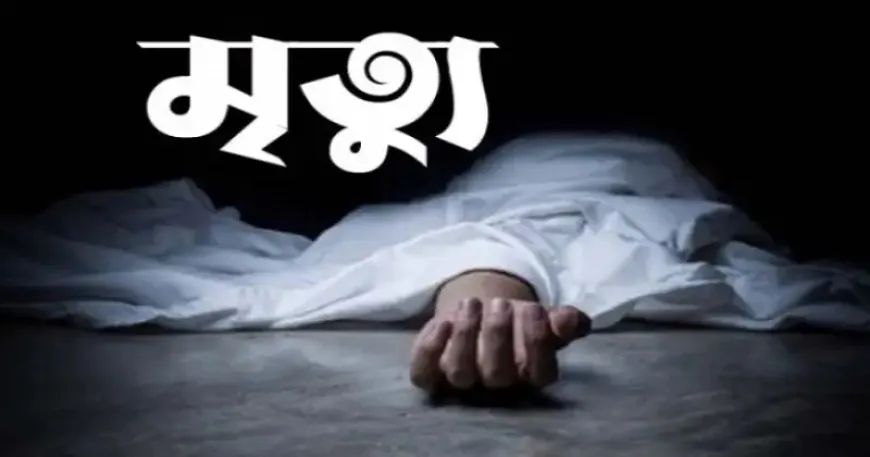 বিচারপতি মানিক মারা গেছেন