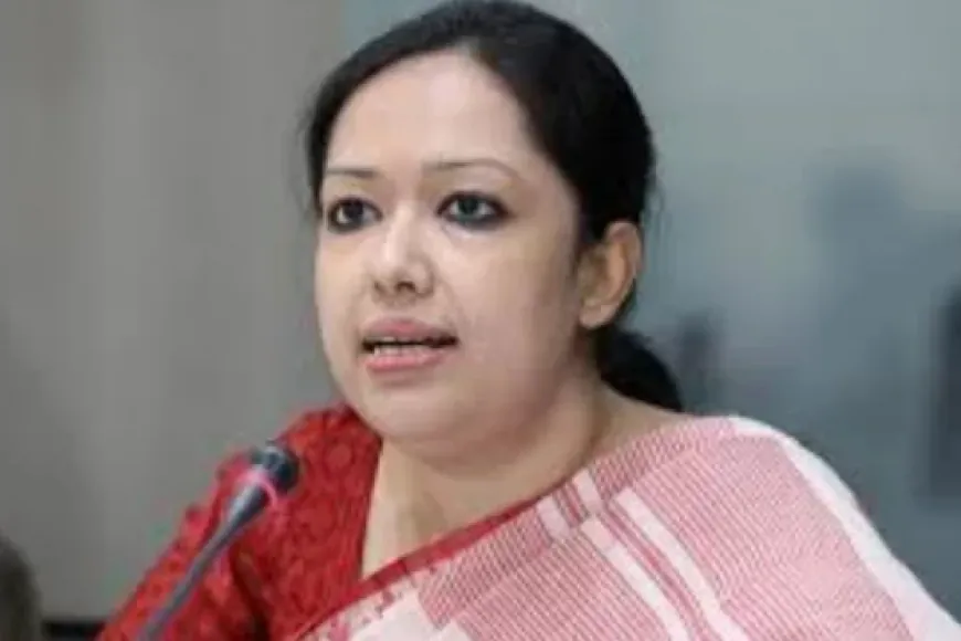 ১০ মাসে উপদেষ্টাদের পিএস শত শত কোটি টাকা কামিয়েছে: রুমিন ফারহানা