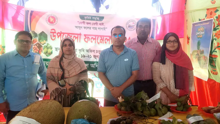 বেতাগীতে কৃষি উৎসব: রঙিন ফলমেলা, কৃষকের মুখে হাসি - বিনামূল্যে কৃষি উপকরণ বিতরণ