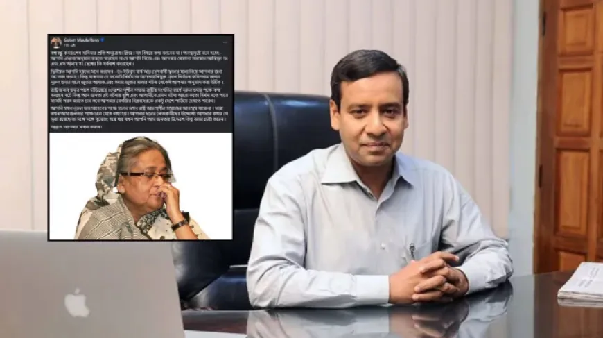 প্লিজ! সব বিষয়ে কথা বলবেন না’— শেখ হাসিনার উদ্দেশ্যে রনি