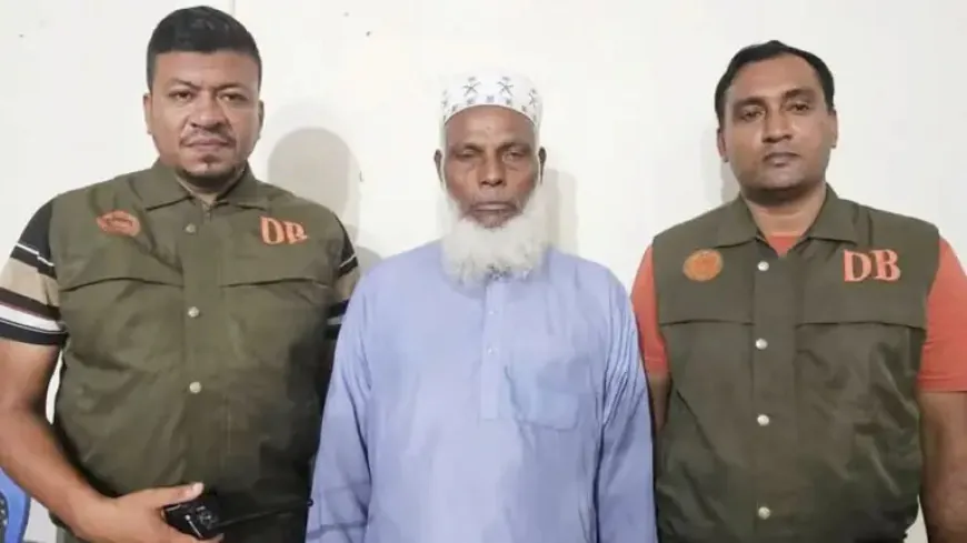 তালগাছ কেটে বাবুই পাখি হত্যা, প্রধান অভিযুক্ত গ্রেপ্তার