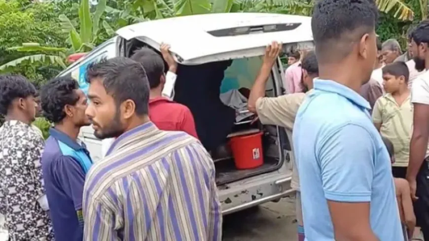 জমিতে ছিঁড়ে পড়া তারে জড়িয়ে বিদ্যুৎস্পর্শে বাবা-ছেলের মৃত্যু