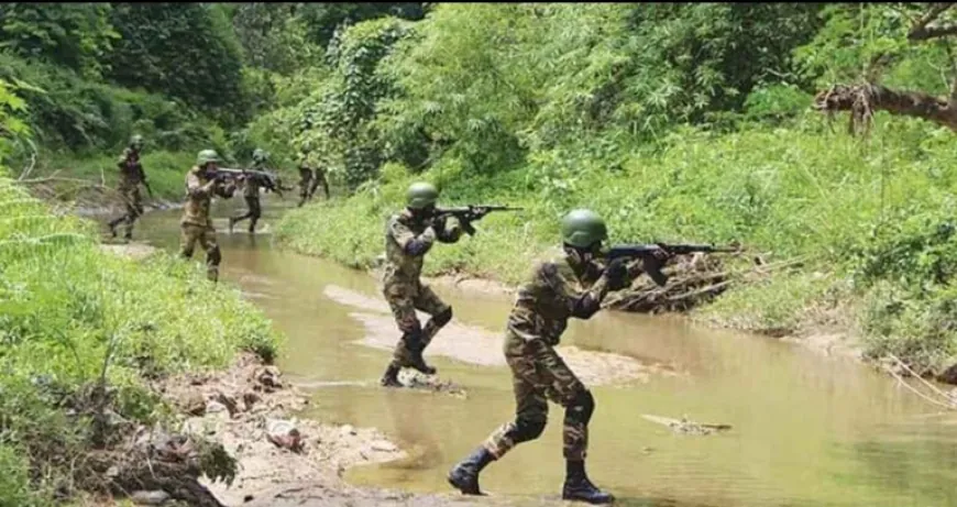 দুর্গম পাহাড়ে সেনাবাহিনীর বিশেষ অভিযান, কেএনএ কমান্ডারসহ নিহত ২