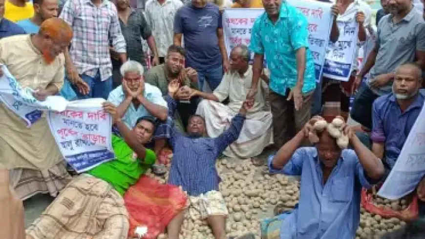 দুই প্রবাসীর বাড়িতে ভয়ংকর ডাকাতি