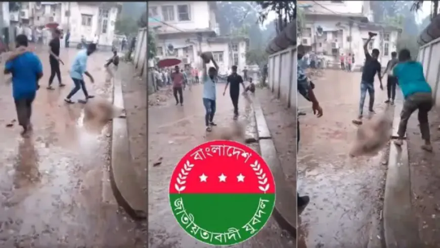 যুবদল নেতাকর্মীদের পাথর মেরে মানুষ হত্যার ভিডিও ভাইরাল