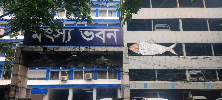 মৎস্য ভবনের দেয়ালে ইলিশের ফলকের দূরাবস্থা 