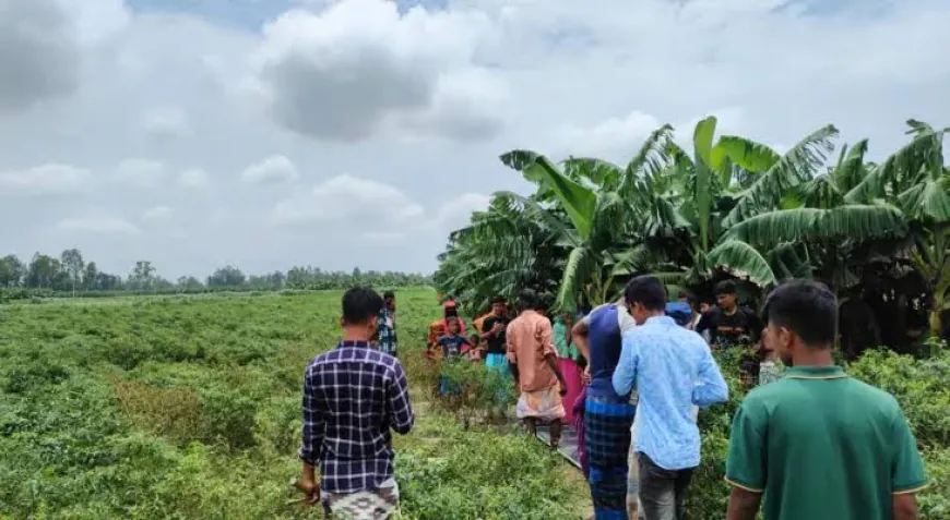 বাংলাদেশী দুইজনকে মেরে এসিড দিয়ে পুড়িয়ে পদ্মায় ভাসিয়ে দিলো ভারতের  বিএসএফ