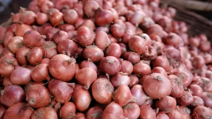 পেঁয়াজ আমদানি নিয়ে নতুন সিদ্ধান্ত