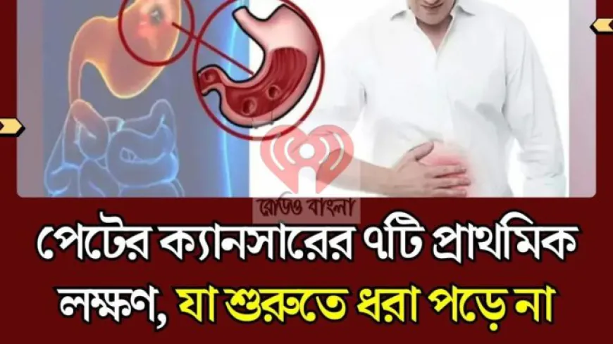 পেটের ক্যানসারের ৭টি প্রাথমিক লক্ষণ, যা শুরুতে ধরা পড়ে না